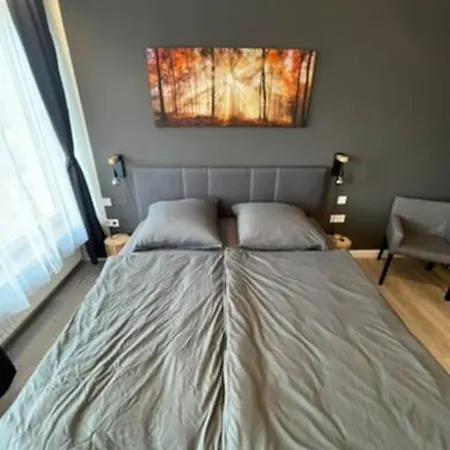 Harztraum Apartment