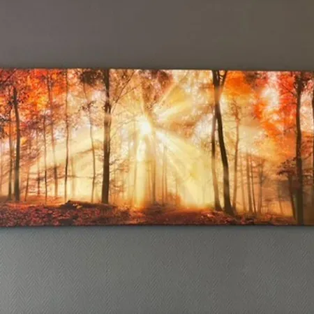 Harztraum Apartment Braunlage