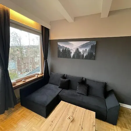Apartment Harztraum